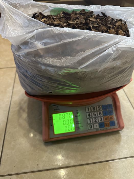 Перепонка грецкого ореха