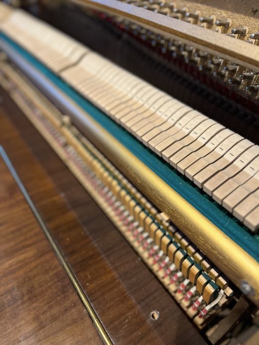 Pianino Calisia, Polska Produkcja, fortepianowe brzmienie.