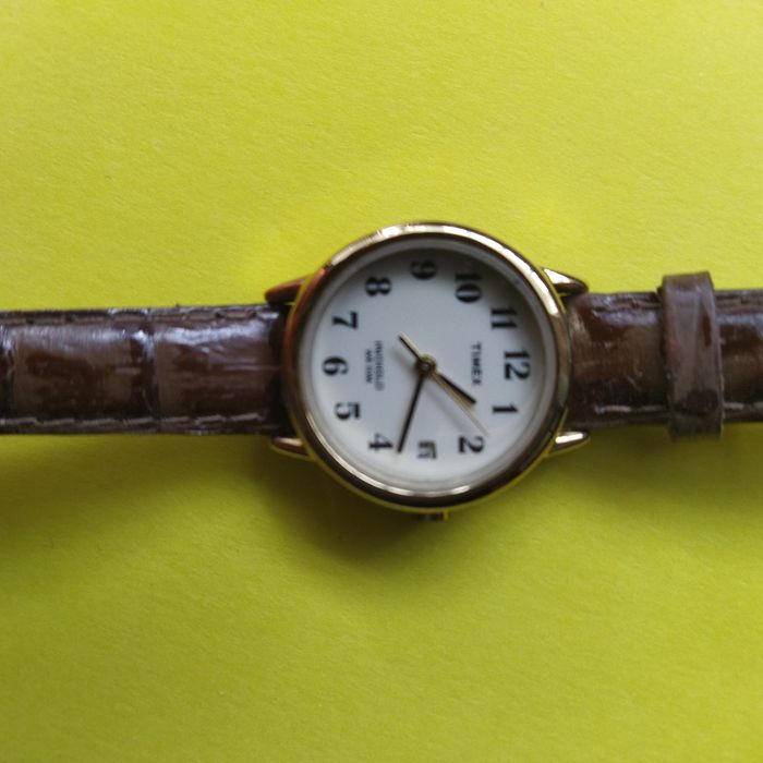 Часы кварцевые Timex Cardinal Skagen
