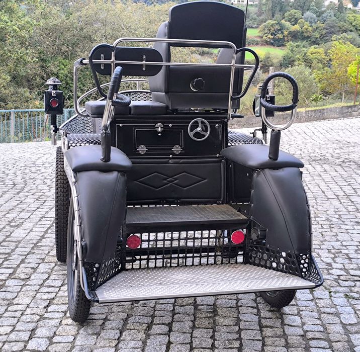 Vendo Charrete Maratona