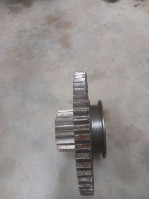 Koło wrzeciennika tuj