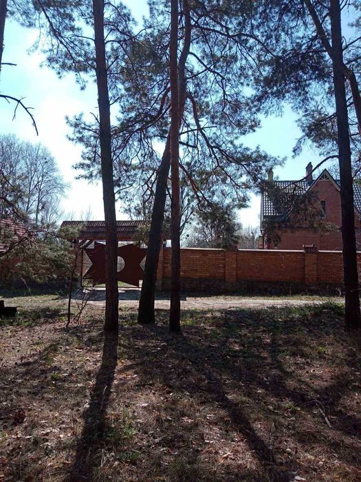 Семейный дом 250 м² в живописном месте: лес, озеро, обилие грибов