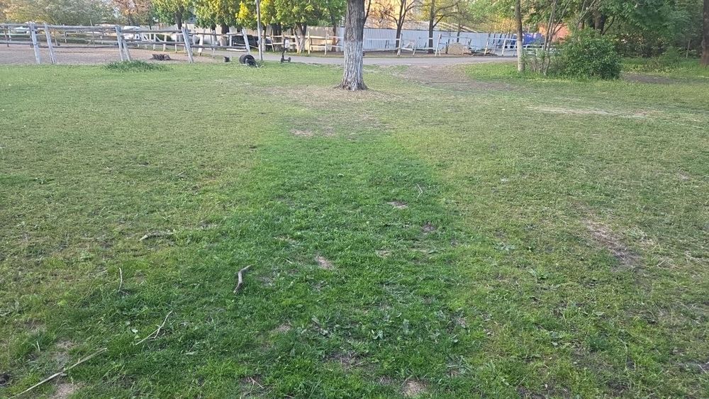 Навоз конный самовывоз бесплатно