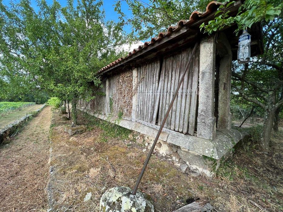 Quinta com vinha em Valença (Torre, São Julião)