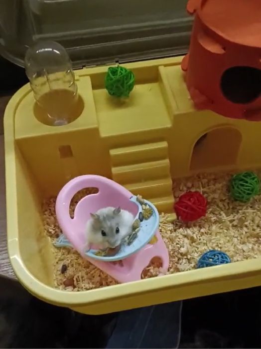 Клетка для хомяка