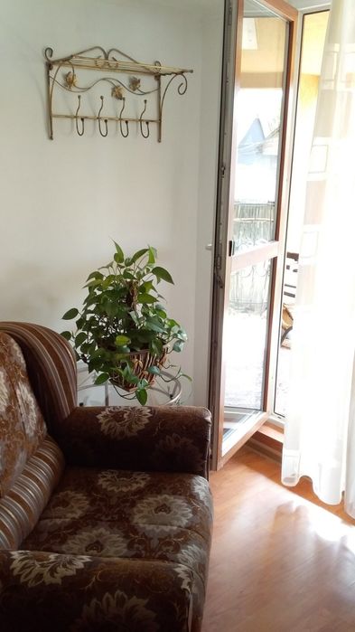 Зимова мелодія Карпат