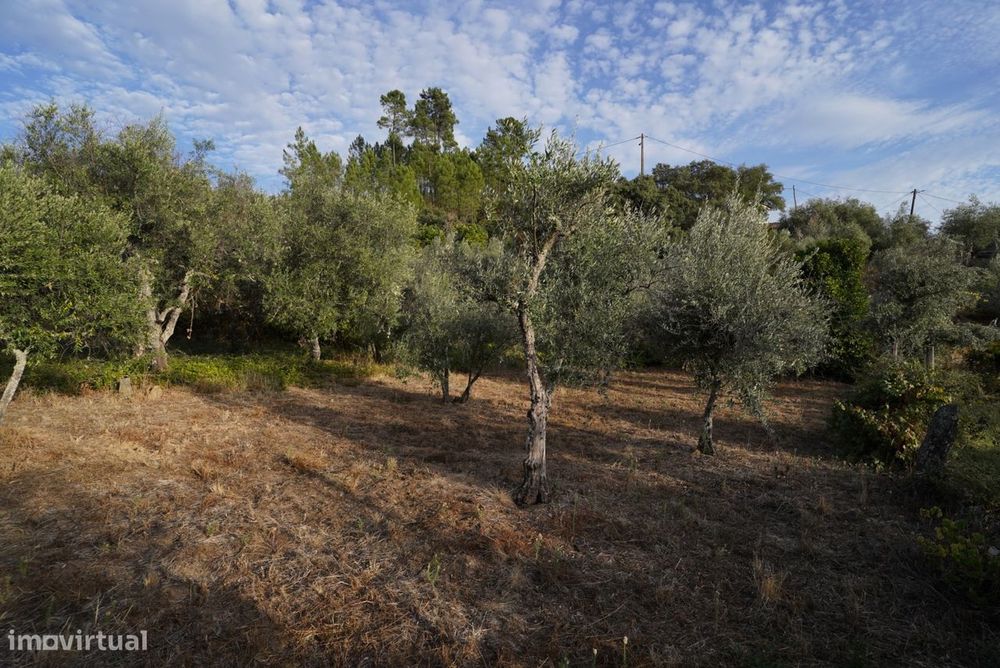 Moradia Rústica T4 Venda em Sarzedas,Castelo Branco