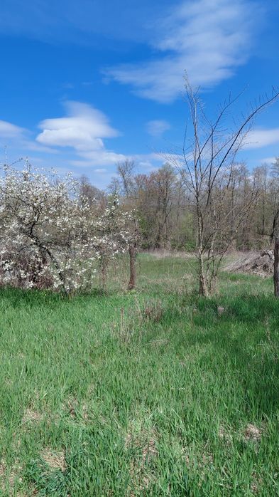 Продаж будинку,   с. Іванівка