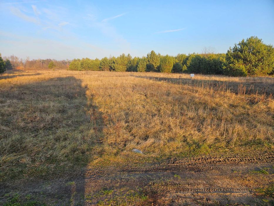 Sprzedam działkę rolną w Brzezinach 6,82 ha gm. Szydłów pow. staszowski - Więcej