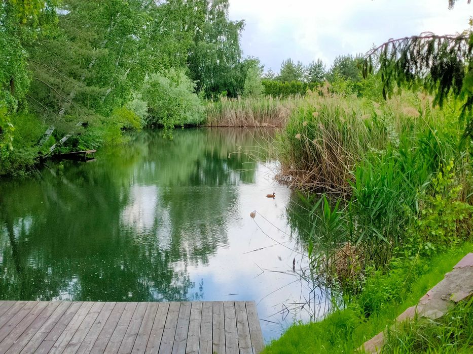 Елітна ділянка 200 соток,Осокорки до 1 шлюзу,Дніпро,Славутич 8 км,без%