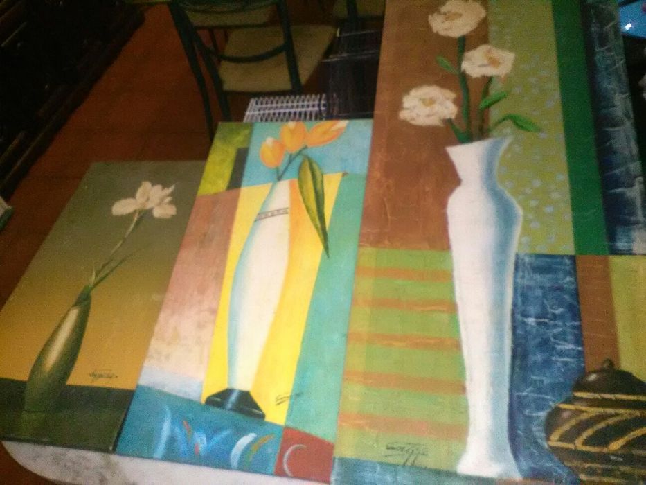 Conjunto de 5 Quadros Flores
