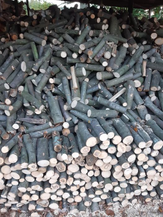 Drewno opałowe (kominkowe lub w wałkach)