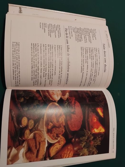 Guia Prático - Plantas Aromáticas