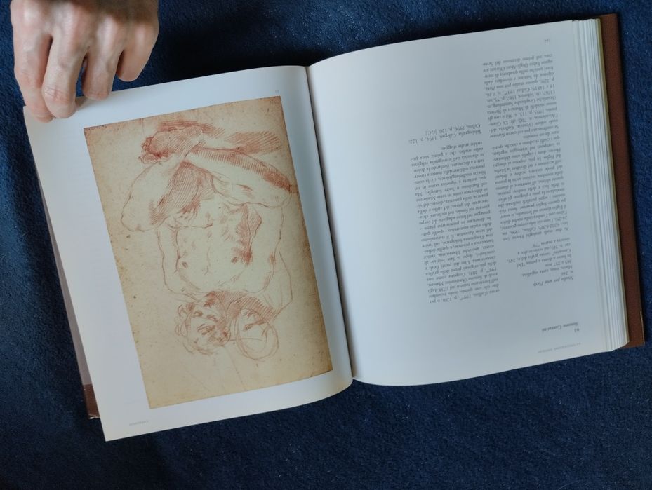 Da Raffaello a Rossini: la Collezione Antaldi