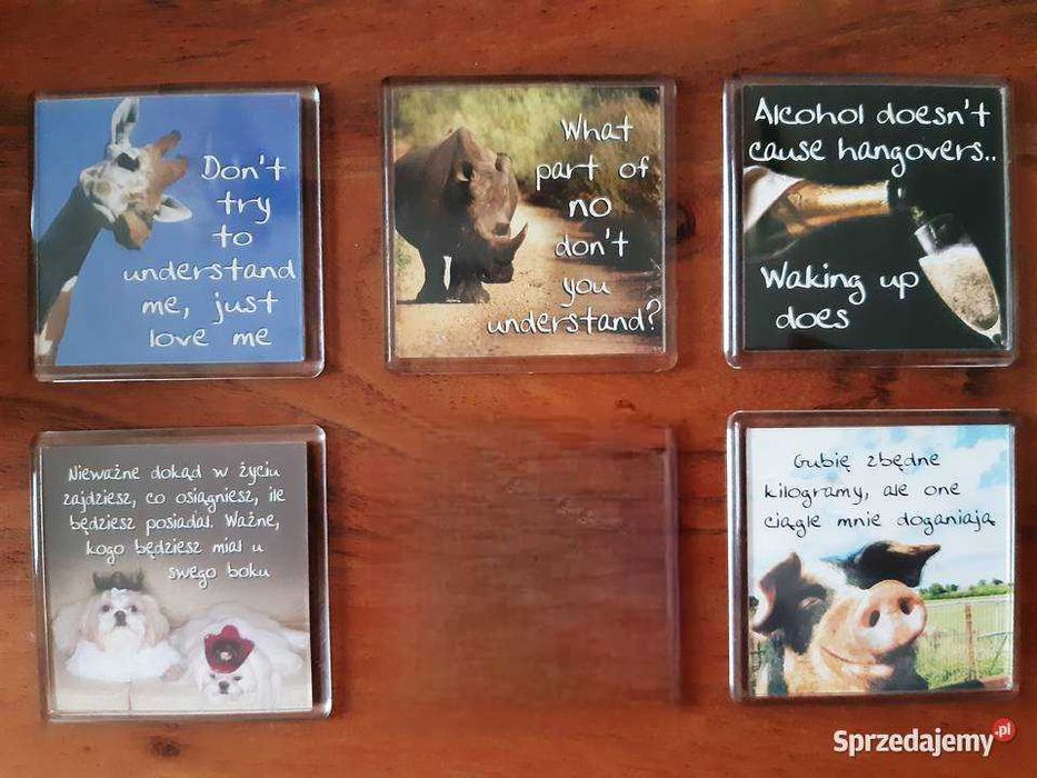 5 sztuk Magnes na lodówkę Motto Alcohol doesn't cause hangovers