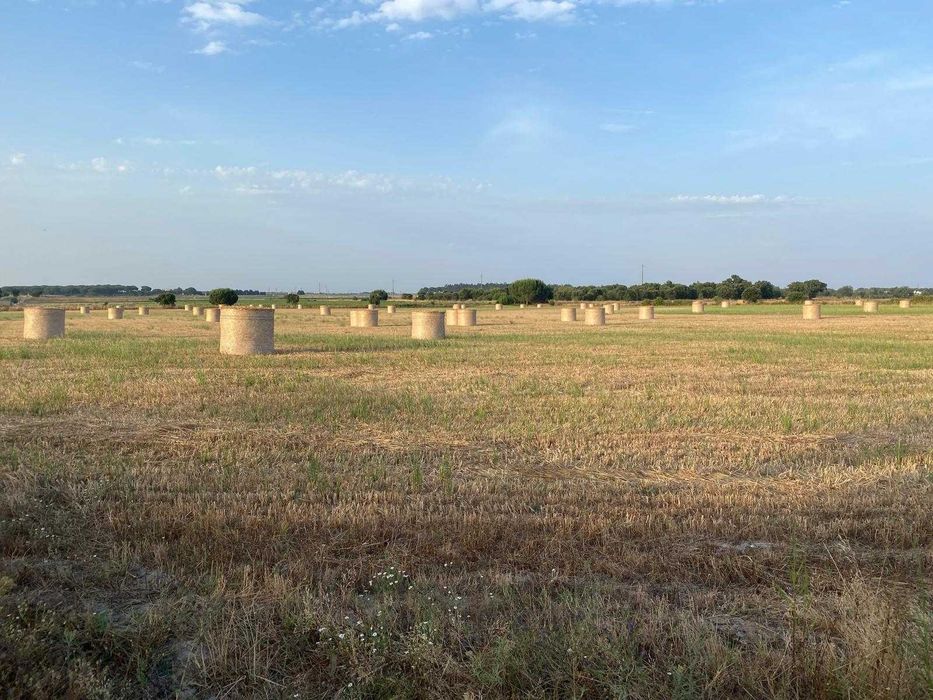 Terreno misto em Santo Izidro de Pegões com 4.2 hect, com furo e 30.000 L/h de agua.