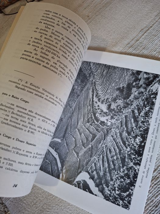 Livro antigo do Instituto do Vinho do Porto