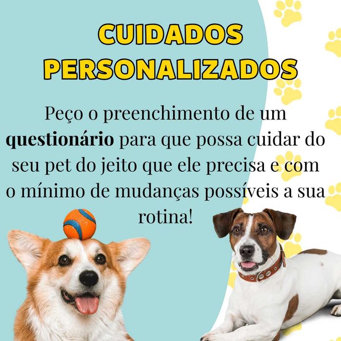 Serviço de Pet Sitter, Hotel para Cães, Cuidado de Animais em Coimbra