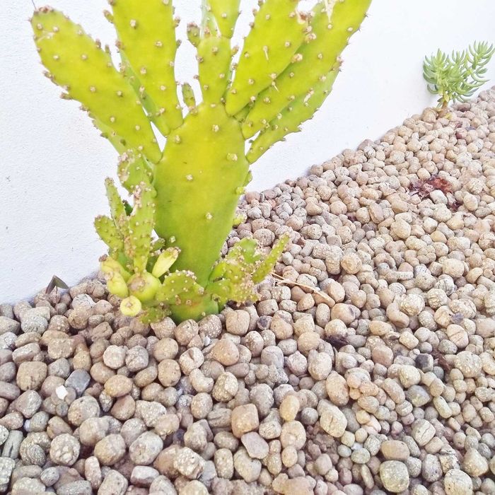 Argila Expandida “Leca”