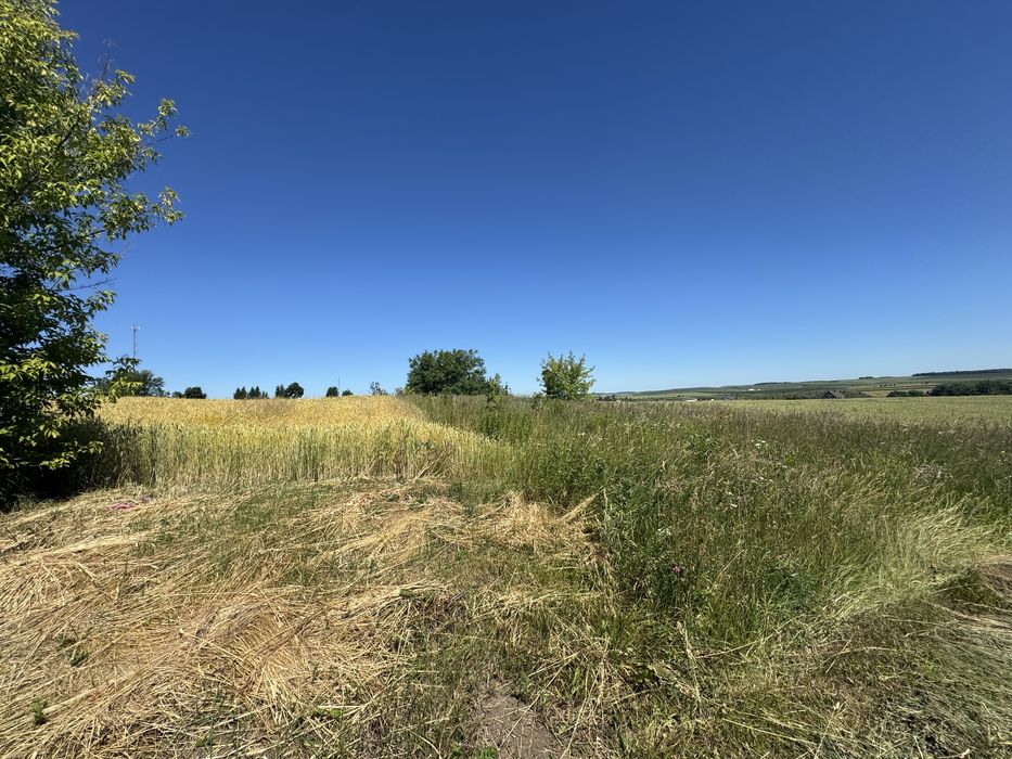 Земельна ділянка 15 сотих в Чистилові