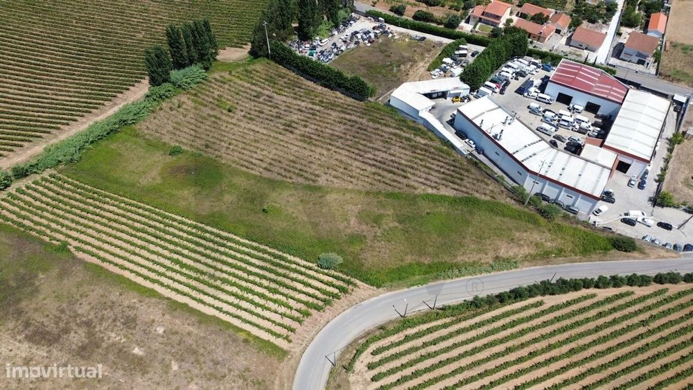Terreno Rústico com Potencial Industrial – Freiria, Torres Vedras — Freiria, Lisboa