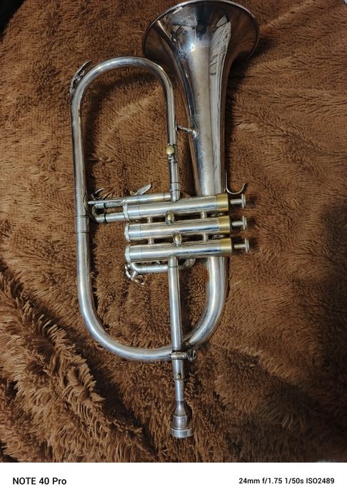 Fluegelhorn Venus