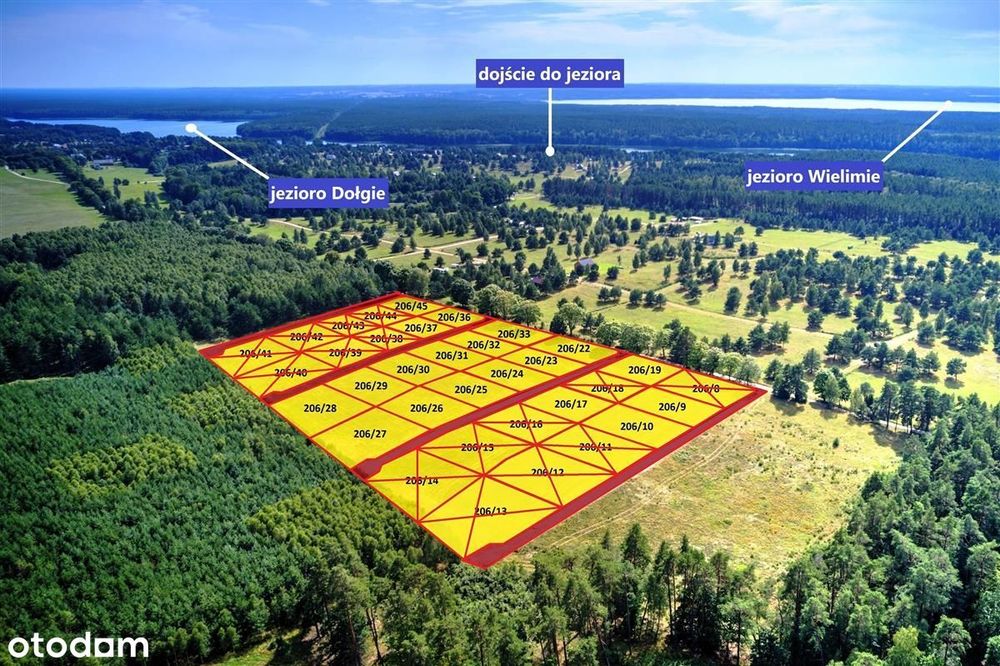 Okolica jeziora Dołgie i kompleksów leśnych.
