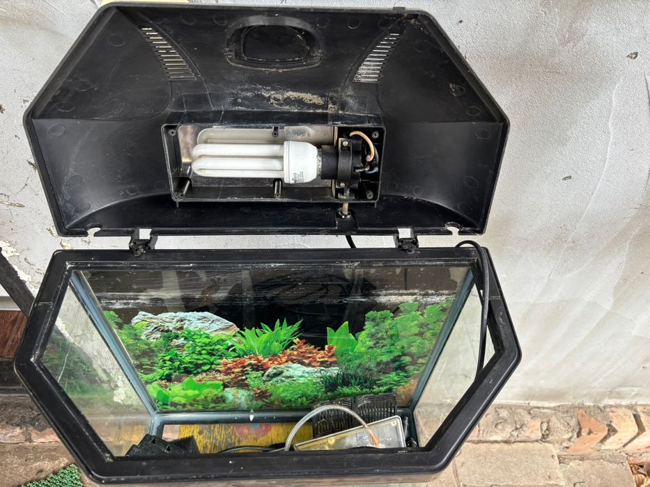 Акваріум б/в з усіма приладами