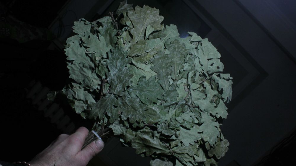Продам веники для бани (качественные)
