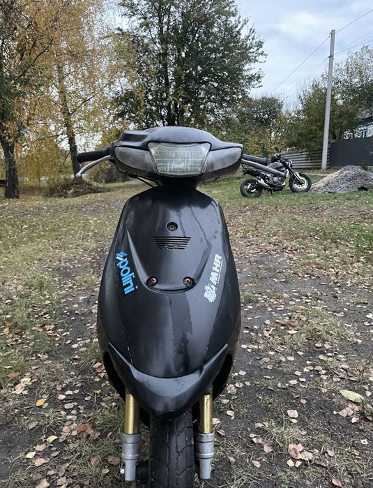 Suzuki zz inch up sport