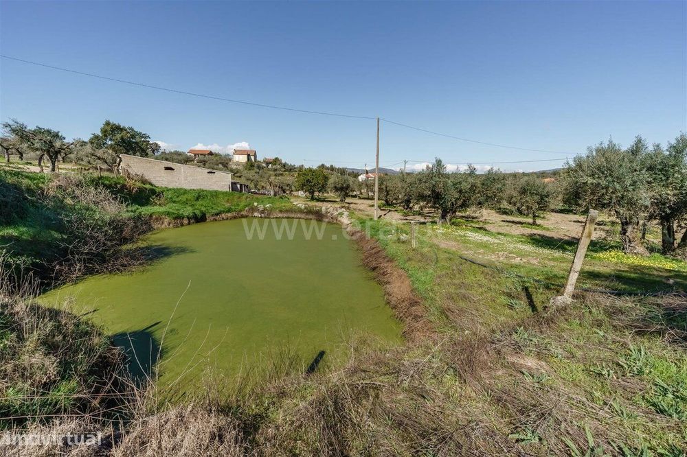 Terreno / Fundão, Martianas