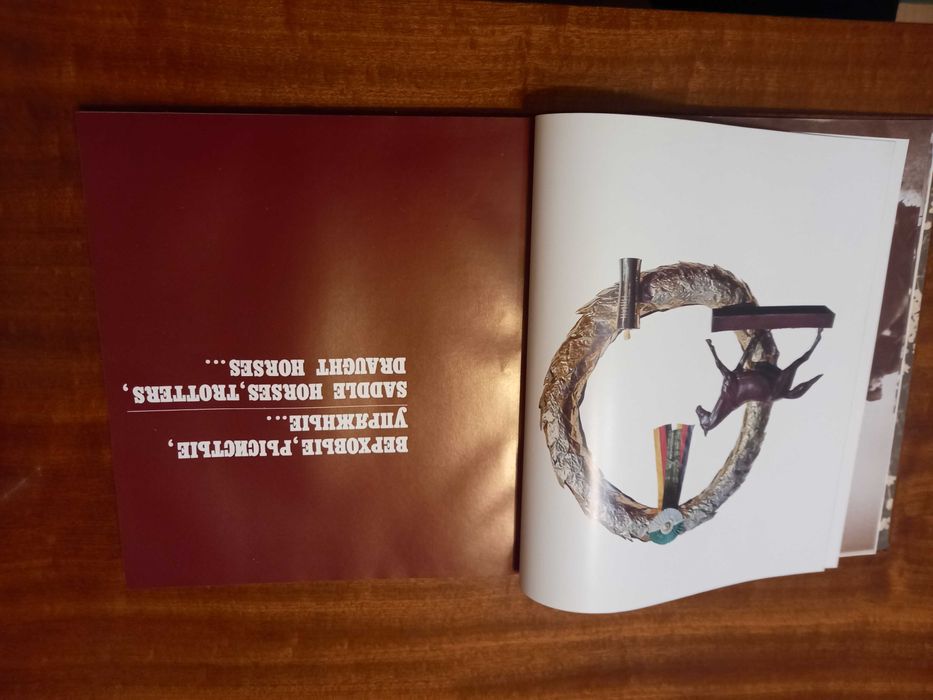 Sprzedam książkę album o koniach