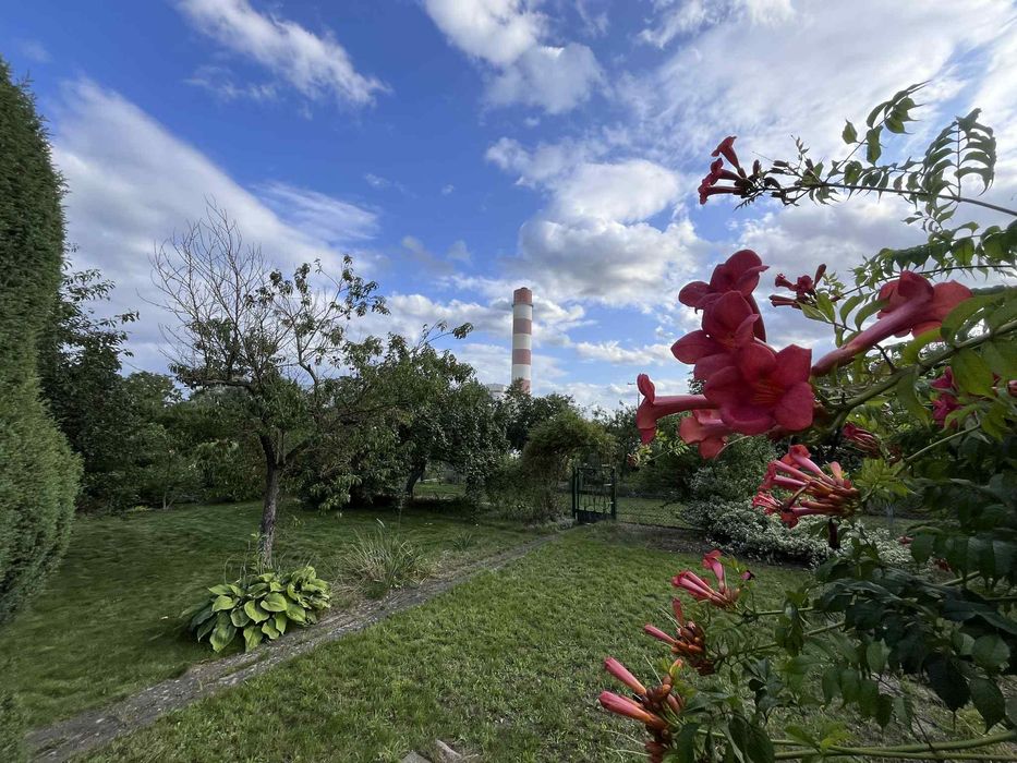 Działka ROD Pomorzany