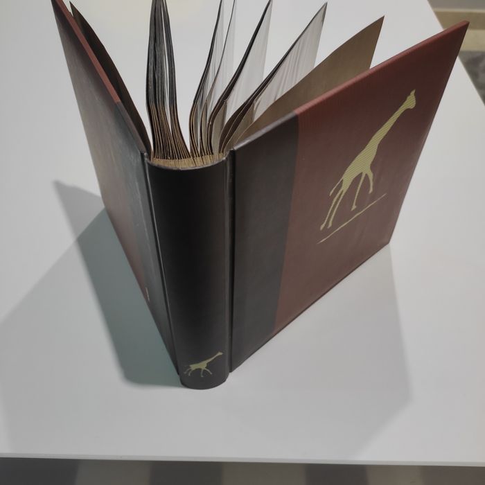 Dois álbuns para fotos. Novos