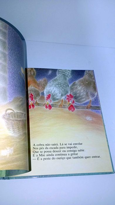 Pico e Pluma - Blooming435684800212520964