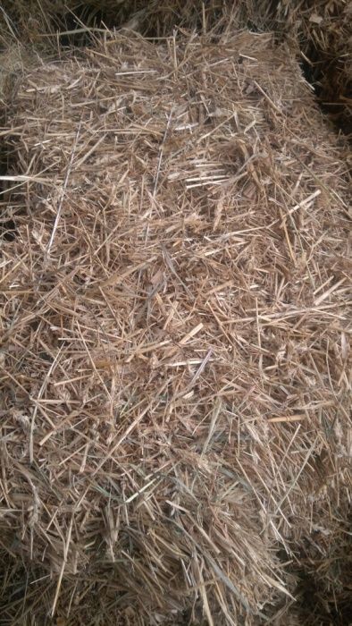 Продам солому в  тюках. Можлива доставка