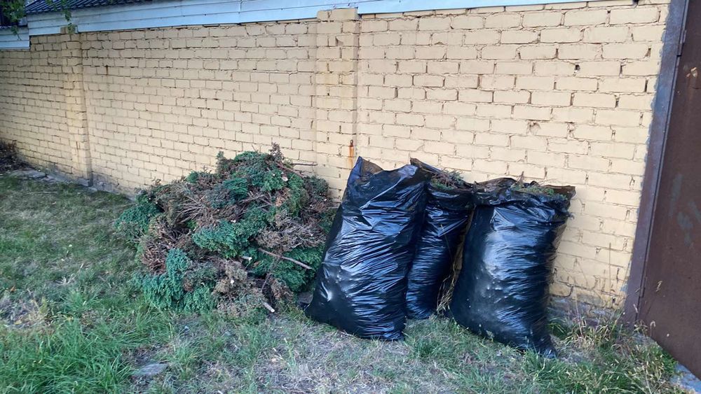 Вивіз сміття Недорого