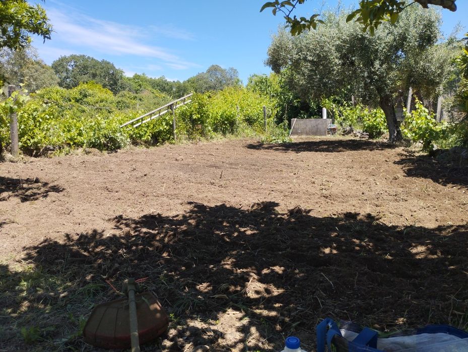 Prestação de serviços, corte de erva , jardinagem, poda de árvore  e corte. Estou disponível no conselho de castelo branco.