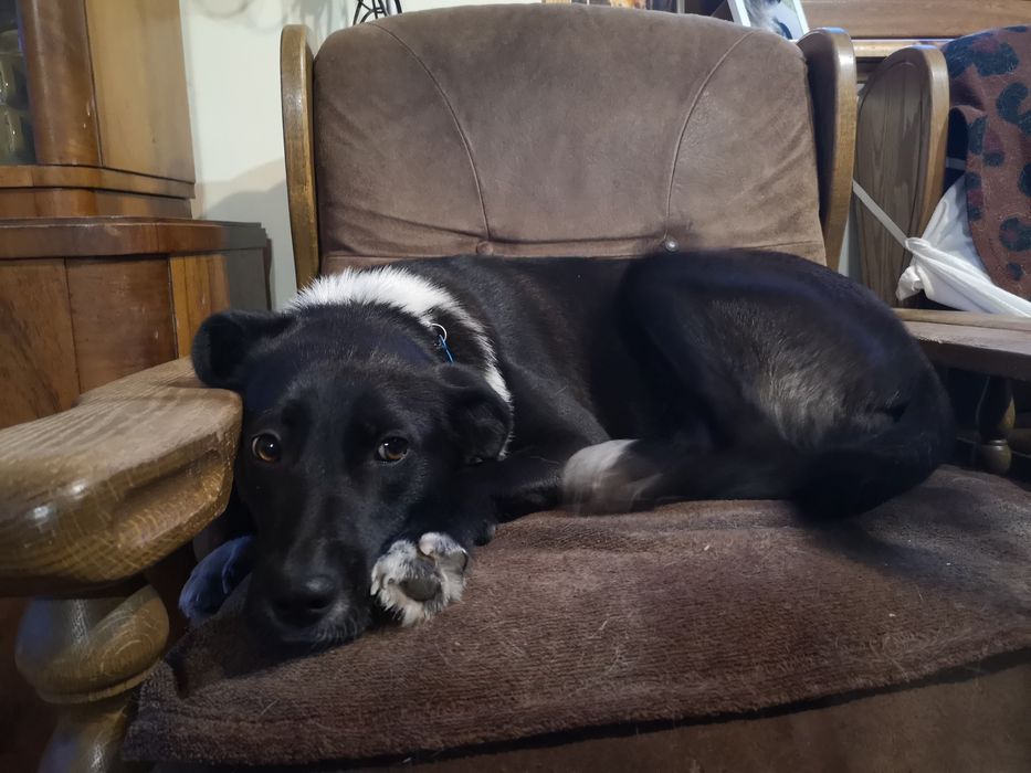 Delikatna i radosna Zosieńka