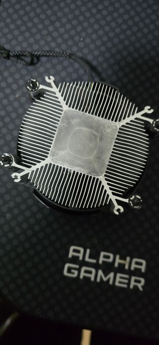 AMD Ryzen 5 5600 Processor440667426773411842