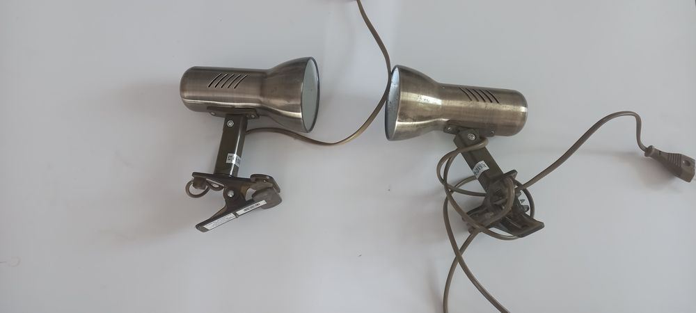 Світільнікі золотисті