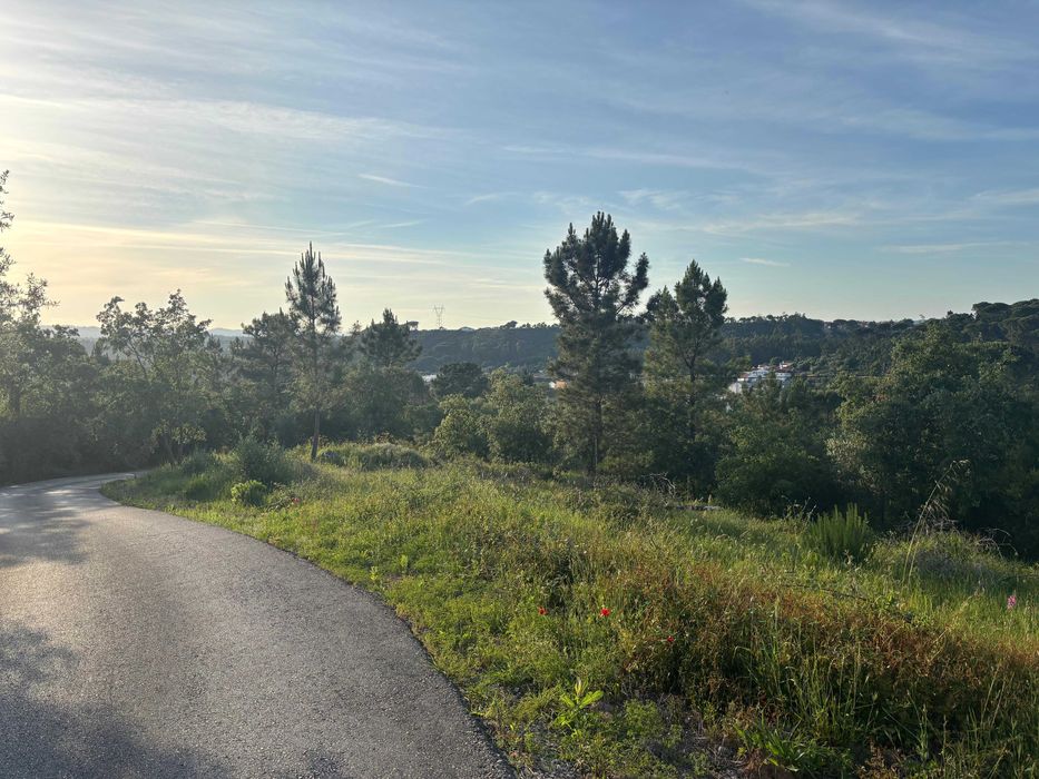 Terreno para Construção na Rua da Ameixeira, Condeixa-a-Velha, Coimbra