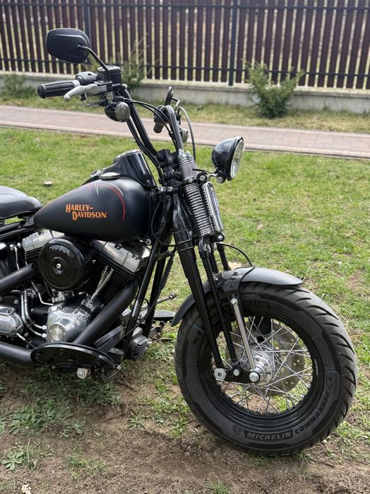 Harley Davidson Cross Bones