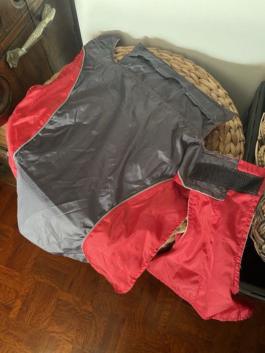 Kit / Lote Acessórios Cão Pequeno (Julius-K9, Trixie, Trela, Roupa)
