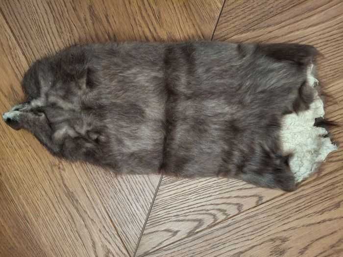 Хутро нутрії, шкірка нутрії