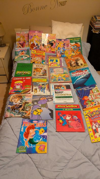 Grande coleção de livros de vários tipos