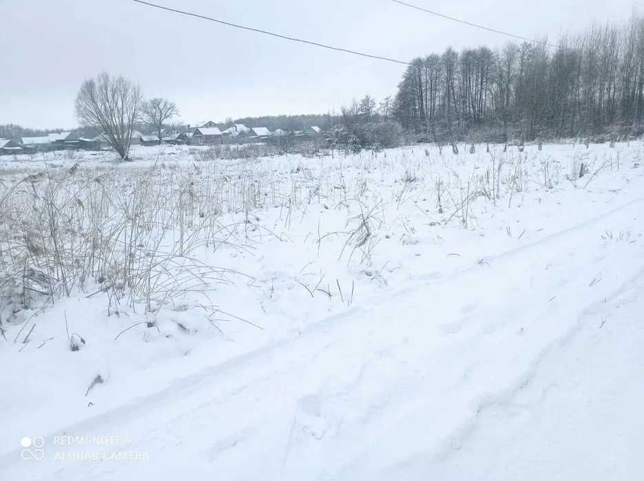 Ділянка 8 сот Тимченки 2 500(169106)