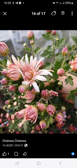 Репетитор з біології