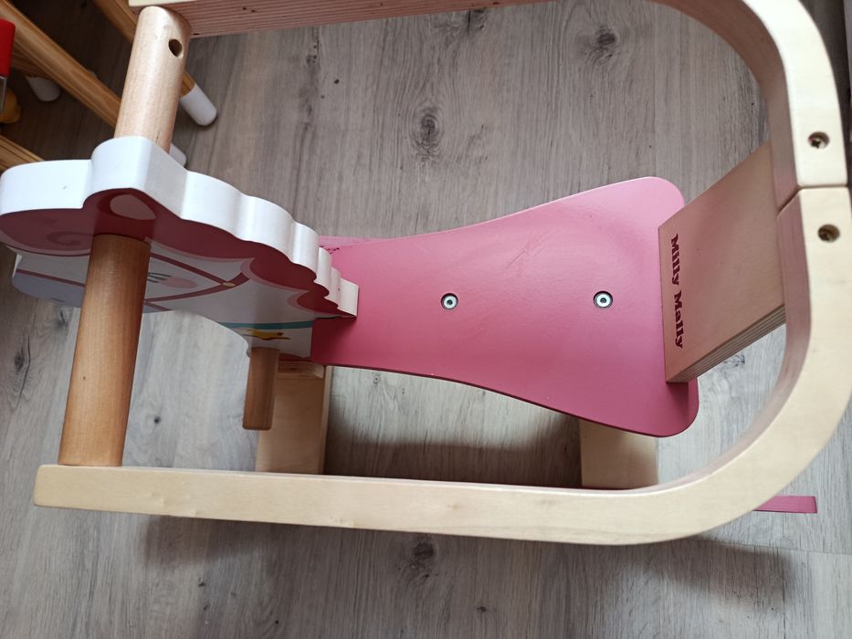 Konik.na biegunach
