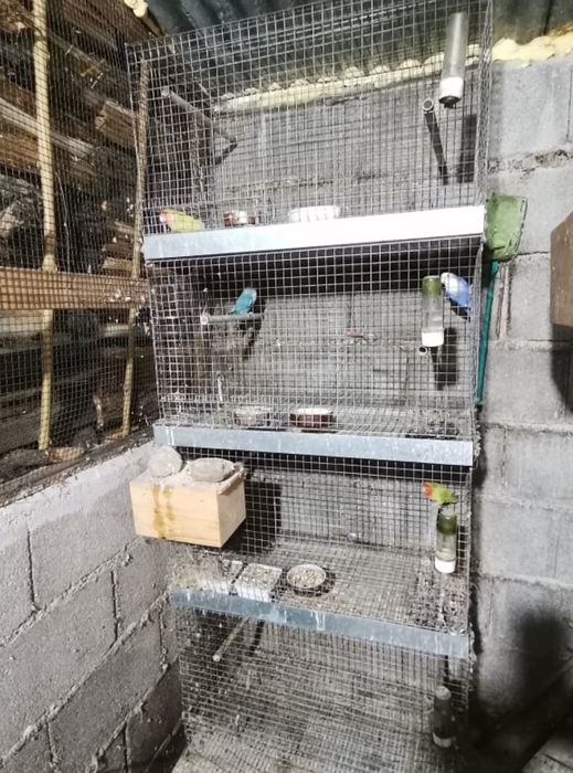 Gaiola / viveiros para pássaros